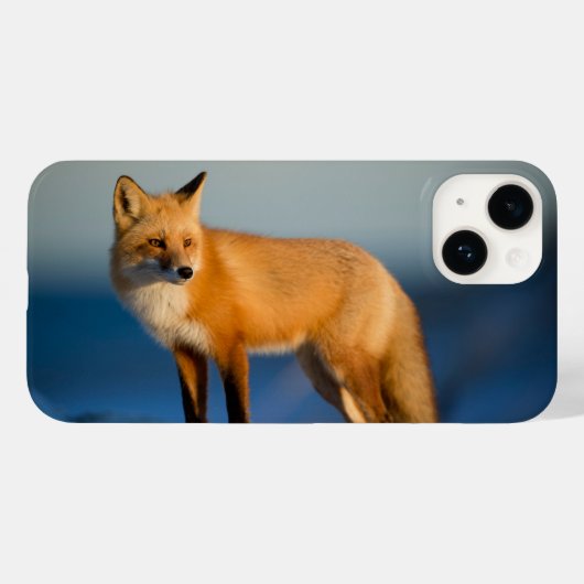 Brauner Fuchs iPhone 14 Hülle (Rückseite (Horizontal))