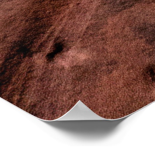 Brauner Gestein Poster (Ecke)