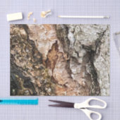 Brauner Graubaum Bark Textur Altes Foto Kunst Seidenpapier (Handwerk)