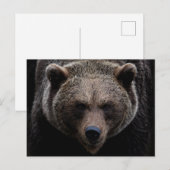 Brauner Grizzlybär Postkarte (Vorne/Hinten)