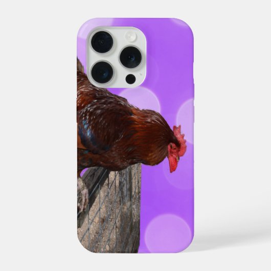 Brauner Hahn Nosy Parker, iPhone Hülle (Rückseite)