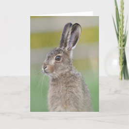 Brauner Hasenleverdecker Karte