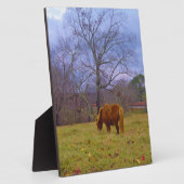 Brauner Himmel Fotoplatte (Seite)