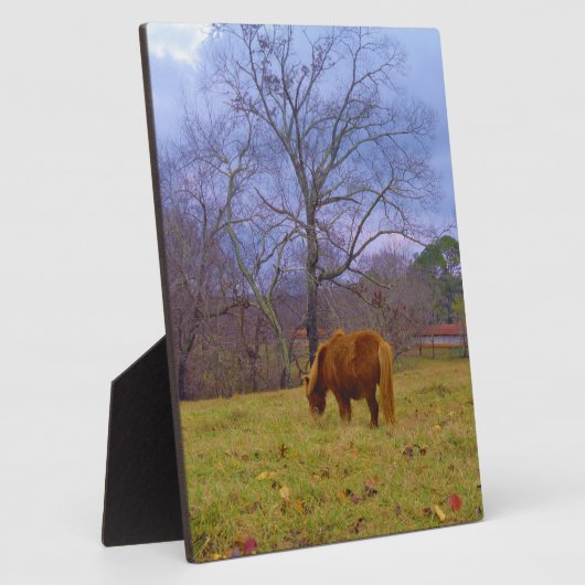 Brauner Himmel Fotoplatte (Seite)