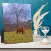 Brauner Himmel Fotoplatte (Seite)