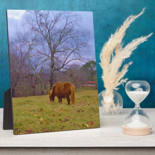 Brauner Himmel Fotoplatte (Seite)