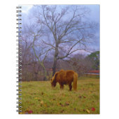 Brauner Himmel Notizblock (Vorderseite)