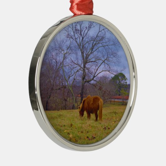 Brauner Himmel Ornament Aus Metall (Rechts)