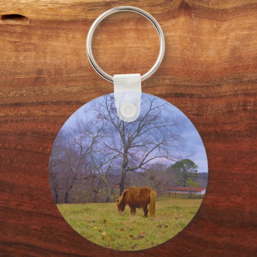 Brauner Himmel Schlüsselanhänger (Vorderseite)