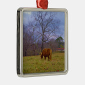 Brauner Himmel Silbernes Ornament (Rechts)