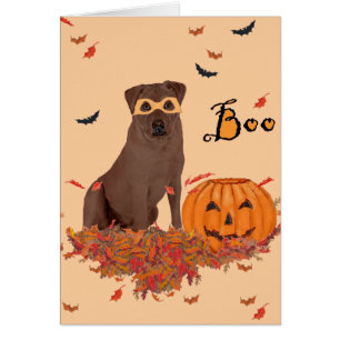 Brauner Labrador Retriever Halloween