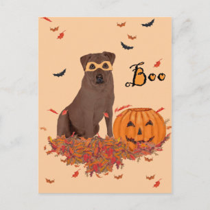 Brauner Labrador Retriever Halloween Postkarte
