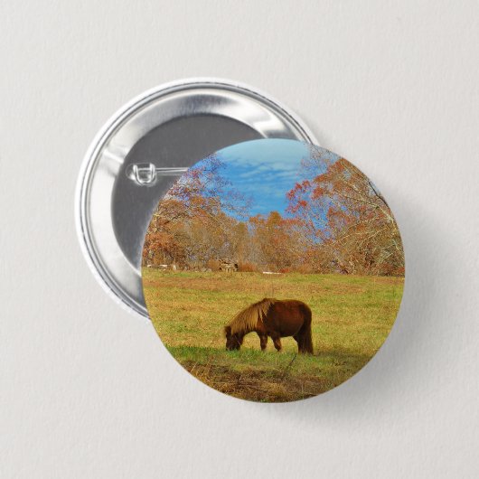Brauner Miniaturpony Button (Vorne & Hinten)