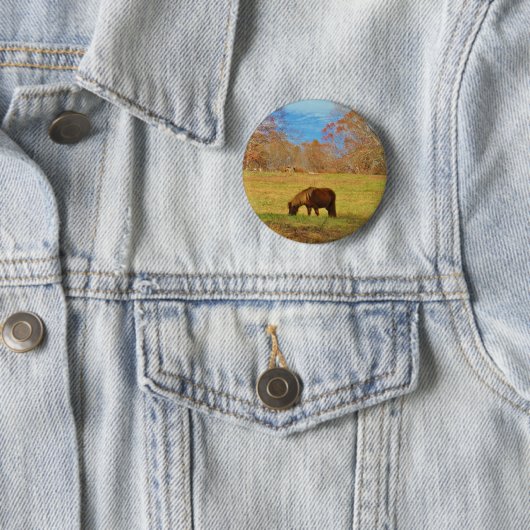Brauner Miniaturpony Button (Beispiel)