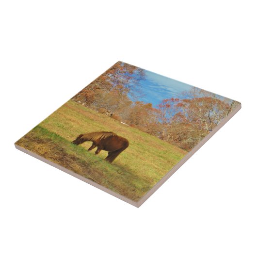 Brauner Miniaturpony Fliese (Seite)