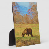 Brauner Miniaturpony Fotoplatte (Seite)