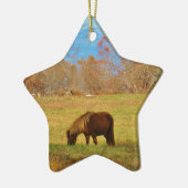 Brauner Miniaturpony Keramikornament (Links)