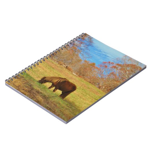 Brauner Miniaturpony Notizblock (Linke Seite)