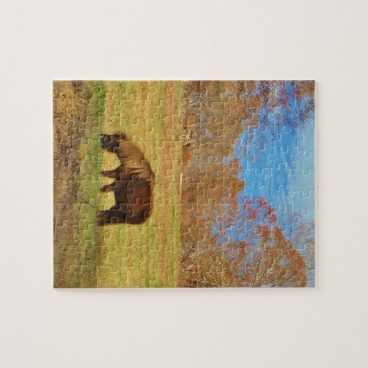 Brauner Miniaturpony Puzzle (Horizontal)