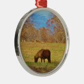Brauner Miniaturpony Silbernes Ornament (Rechts)