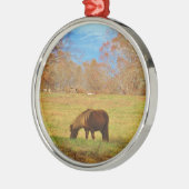 Brauner Miniaturpony Silbernes Ornament (Links)