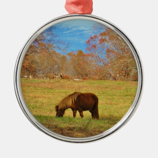 Brauner Miniaturpony Silbernes Ornament (Vorne)