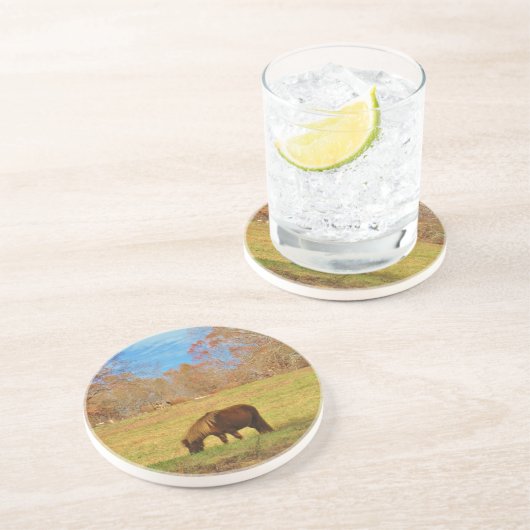 Brauner Miniaturpony Untersetzer (Seite)