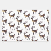 Brauner Orangenfuchs und -hirsch Geschenkpapier Set (Vorderseite 2)
