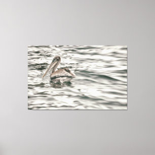 Brauner Pelikan im Wasser Leinwanddruck