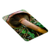 Brauner Pilz in grüner Klee Magnet (Rechte Seite)