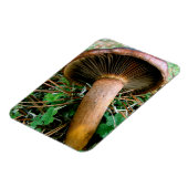 Brauner Pilz in grüner Klee Magnet (Linke Seite)