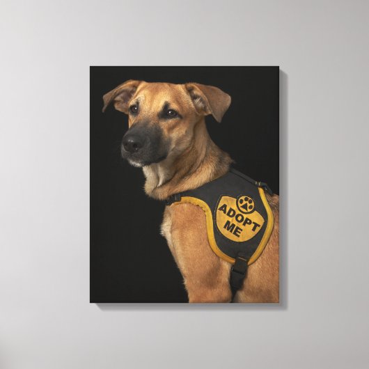 Brauner Rettungshund mit adoptiert Weste Leinwanddruck (Vorderseite)