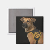 Brauner Rettungshund mit adoptiert Weste Magnet (Vorderseite/Rückseite)