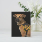 Brauner Rettungshund mit adoptiert Weste Postkarte (Stehend Vorderseite)