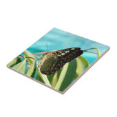 Brauner Schmetterling geschlossene Flügel Fliese (Seite)