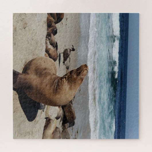 Brauner Seelion am Strand Puzzle (Horizontal)