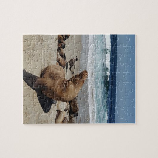 Brauner Seelion am Strand Puzzle (Horizontal)