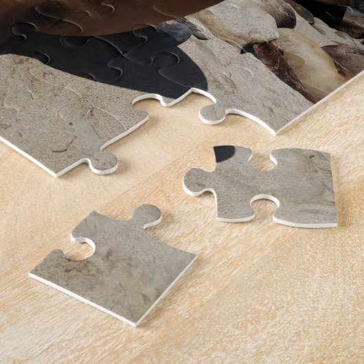 Brauner Seelion am Strand Puzzle (Seite)