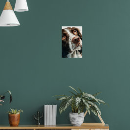 Brauner Springer Spaniel Poster
