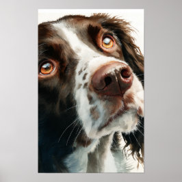 Brauner Springer Spaniel  Poster