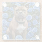 Brauner Staffy im Garten mit blauer Rose, Glasuntersetzer (Rückseite)