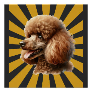 Brauner Standard Pudel Retro Sunburst Poster