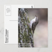 Brauner Strampler Postkarte (Vorne/Hinten)