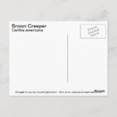 Brauner Strampler Postkarte (Rückseite)