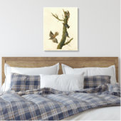 Brauner Strampler, Pygmäen-Nuthatch von Audubons V Leinwanddruck (Insitu (Schlafzimmer))