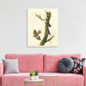 Brauner Strampler, Pygmäen-Nuthatch von Audubons V Leinwanddruck (Insitu (Wohnzimmer))