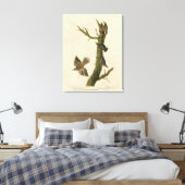 Brauner Strampler, Pygmäen-Nuthatch von Audubons V Leinwanddruck (Insitu (Schlafzimmer))