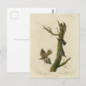 Brauner Strampler, Pygmäen-Nuthatch von Audubons V Postkarte (Vorne/Hinten)