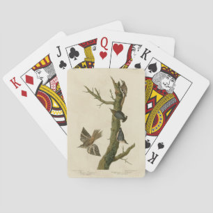 Brauner Strampler, Pygmäen-Nuthatch von Audubons V Spielkarten