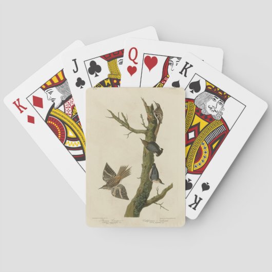 Brauner Strampler, Pygmäen-Nuthatch von Audubons V Spielkarten (Rückseite)